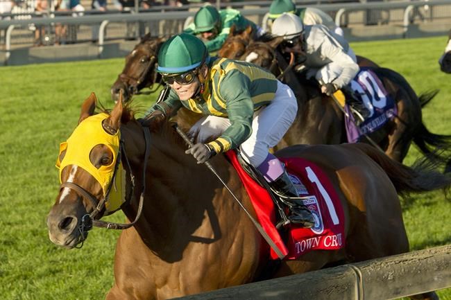 Six-year-old gelding Town Cruise captures $1-million Grade 1 Ricoh Woodbine Mile win | iNFOnews.ca CP622865030