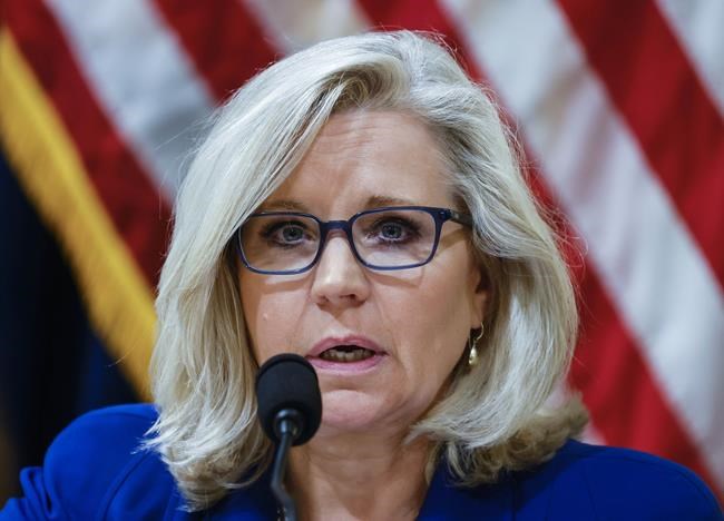 Liz Cheney: `I was wrong' in opposing gay marriage in past | iNFOnews.ca