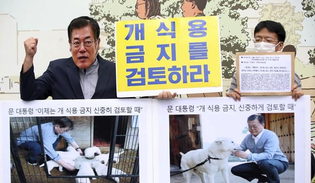 S. Korean leader's review of ban on eating dog meat welcomed | iNFOnews.ca
