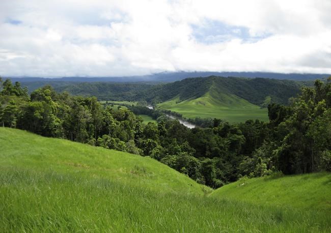 Australia's Daintree Rainforest returned to original owners | iNFOnews.ca Australia's Daintree Rainforest returned to original owners | iNFOnews.ca