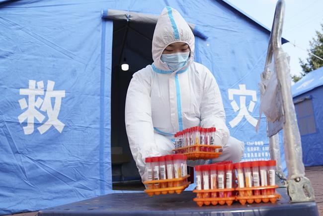 China kills 3 housecats that tested positive for COVID-19 | iNFOnews.ca China kills 3 housecats that tested positive for COVID-19 | iNFOnews.ca