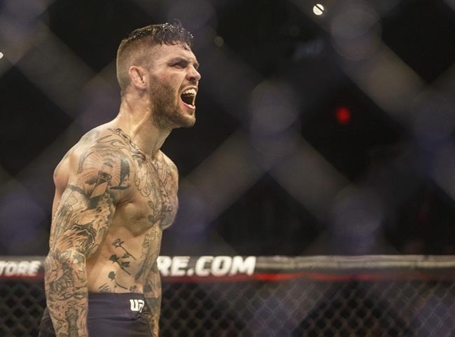Canada's Malcolm Gordon, Gavin Tucker added to November UFC card in Las Vegas | iNFOnews.ca Canada's Malcolm Gordon, Gavin Tucker added to November UFC card in Las Vegas | iNFOnews.ca