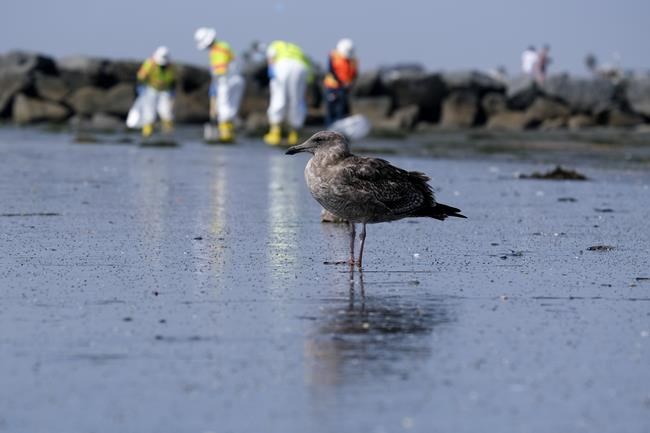 California pipeline likely damaged up to a year before spill | iNFOnews.ca