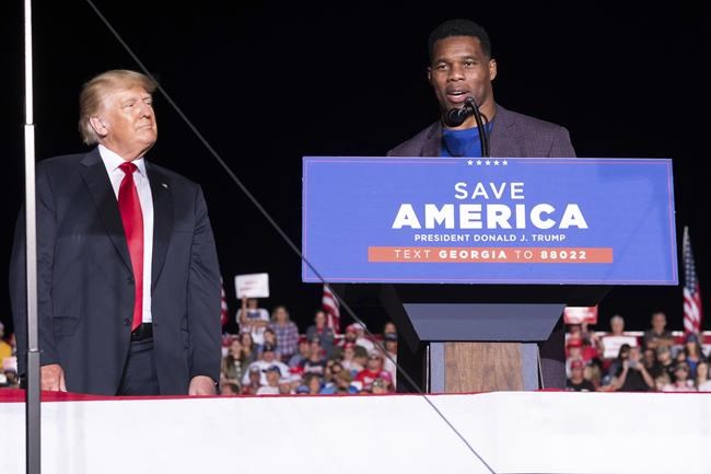 Trump-backed candidates face scrutiny after minimal vetting | iNFOnews.ca Trump-backed candidates face scrutiny after minimal vetting | iNFOnews.ca