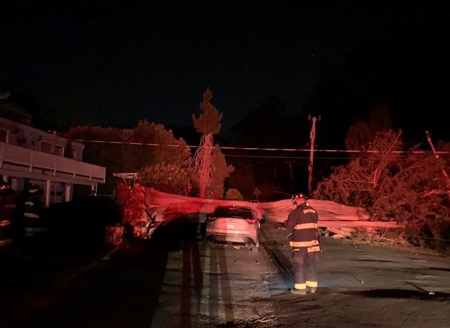 Surging California winds spark new wildfires, power outages | iNFOnews.ca