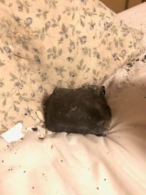 Meteorite found in B.C. could shed light on solar system's origin says physicist | iNFOnews.ca Meteorite found in B.C. could shed light on solar system's origin says physicist | iNFOnews.ca