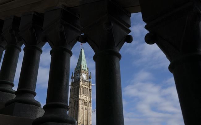 Many vendors selling to Ottawa lack policies to prevent child labour, report finds | iNFOnews.ca