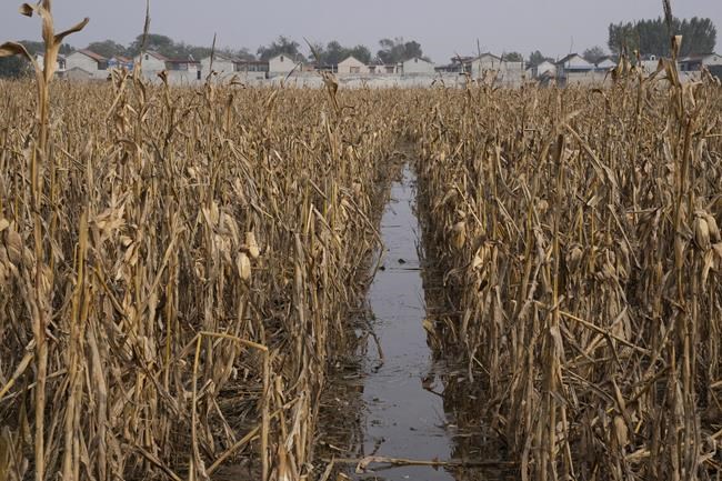 'Ordinary people suffer most': China farms face climate woes | iNFOnews.ca