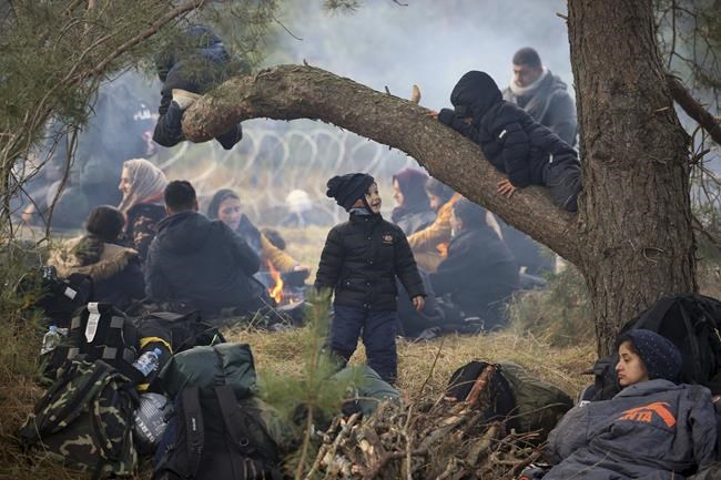 Migrants aided by Belarus try to storm border into Poland | iNFOnews.ca