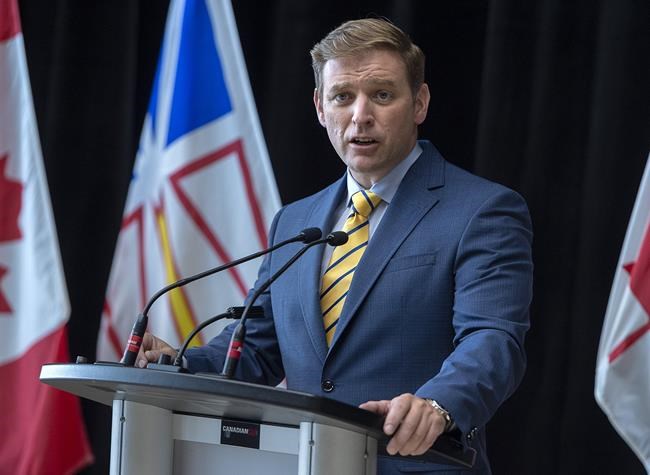 N.L. launches 2022 Come Home Year as a post-pandemic boost to tourism and morale | iNFOnews.ca