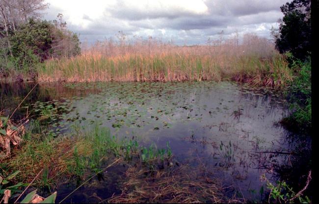 Army Corps completes reservoir for Everglades restoration | iNFOnews.ca CP1990930028