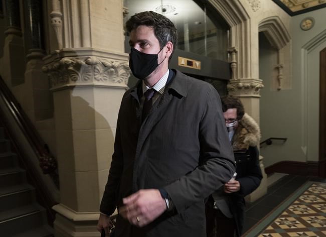 Government opens College of Immigration and Citizenship Consultants | iNFOnews.ca