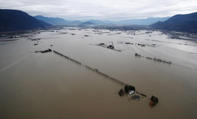 'It's my life's work': B.C. fruit and vegetable growers face uncertainty after floods | iNFOnews.ca