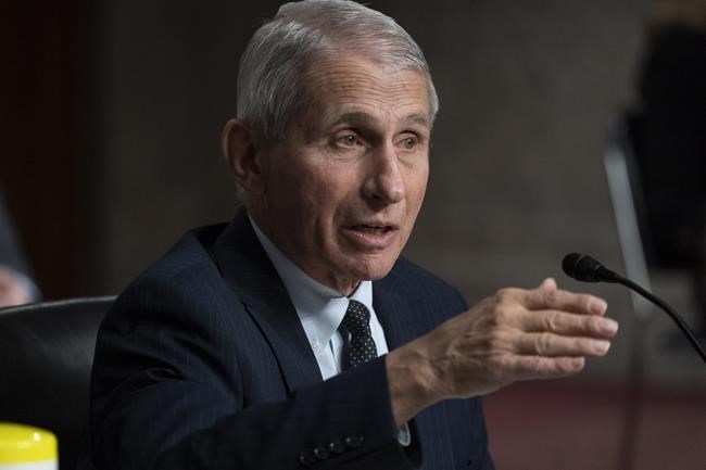 Fauci fires back at Cruz over COVID claims about Chinese lab | iNFOnews.ca