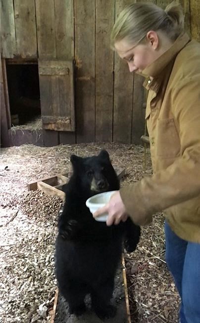Fossil footprints puzzle scientists: Bear or ancient human? | iNFOnews.ca Fossil footprints puzzle scientists: Bear or ancient human? | iNFOnews.ca