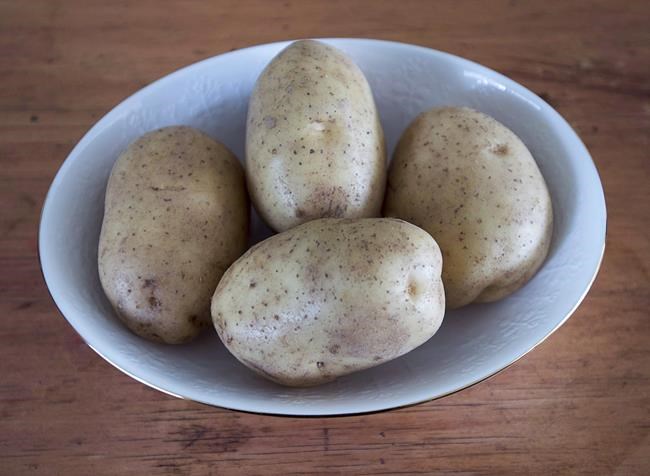 Canadian and U.S. officials to meet Friday to discuss P.E.I. potato ban | iNFOnews.ca CP2011443569
