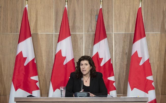 Auditor criticizes pandemic border measure enforcement, other COVID-19 responses | iNFOnews.ca Auditor criticizes pandemic border measure enforcement, other COVID-19 responses | iNFOnews.ca