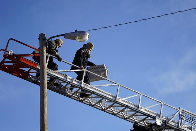 'Panther' the cat rescued after days-long utility pole perch | iNFOnews.ca