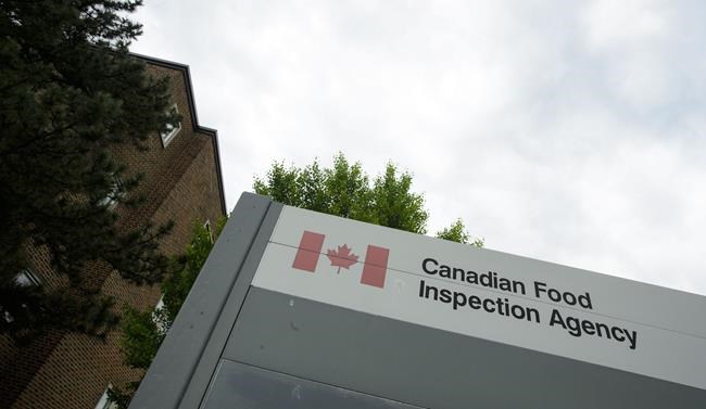 High pathogenic Avian Influenza on N.L. exhibition farm, area under quarantine: CFIA | iNFOnews.ca