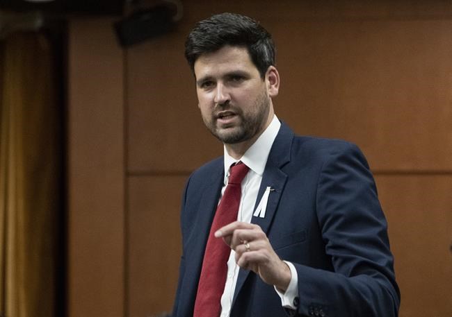 COVID-19 might have lasting impacts on the way Canada handles immigration: Minister | iNFOnews.ca COVID-19 might have lasting impacts on the way Canada handles immigration: Minister | iNFOnews.ca