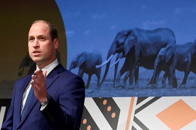 Prince William seeks nominees for $1 million Earthshot prize | iNFOnews.ca