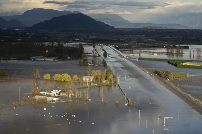 Heavy rain, potential floods as latest atmospheric river sweeps over B.C. | iNFOnews.ca