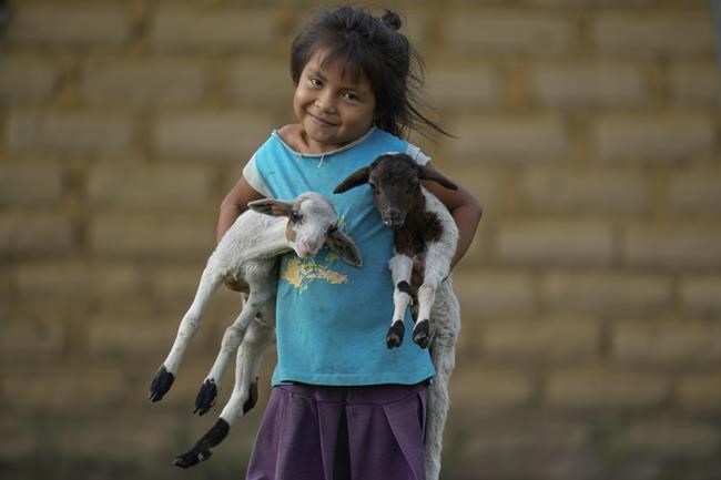 Tarnished Gold: Illegal mining stokes Indigenous divisions | iNFOnews.ca