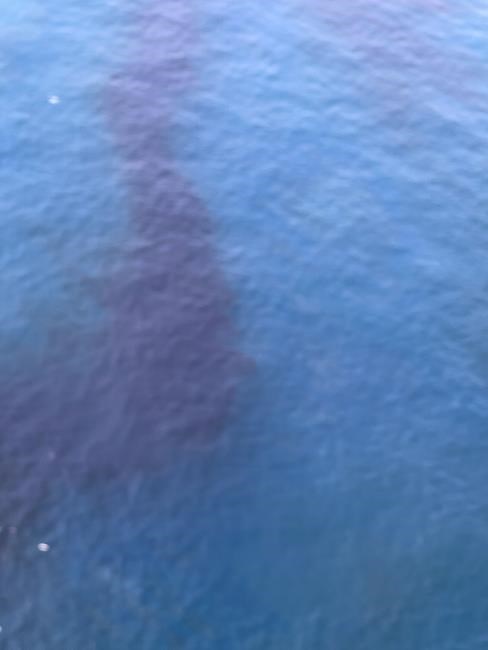 Thailand deploys more assets as oil slick threatens beaches | iNFOnews.ca