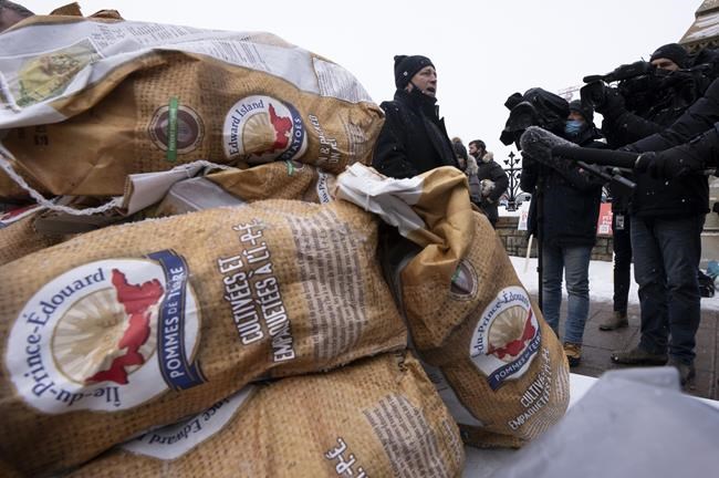Minister optimistic P.E.I. potato shipments to Puerto Rico could resume soon | iNFOnews.ca