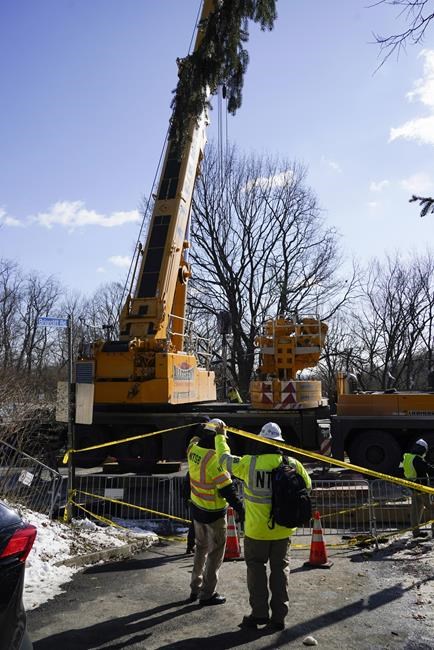 Investigators vow to put collapsed bridge under 'microscope' | iNFOnews.ca Investigators vow to put collapsed bridge under 'microscope' | iNFOnews.ca