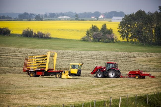 Rural population growth concentrated near urban centres, StatCan says | iNFOnews.ca