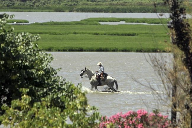 EU slams plan to expand water use near Spain’s Doñana park | iNFOnews.ca