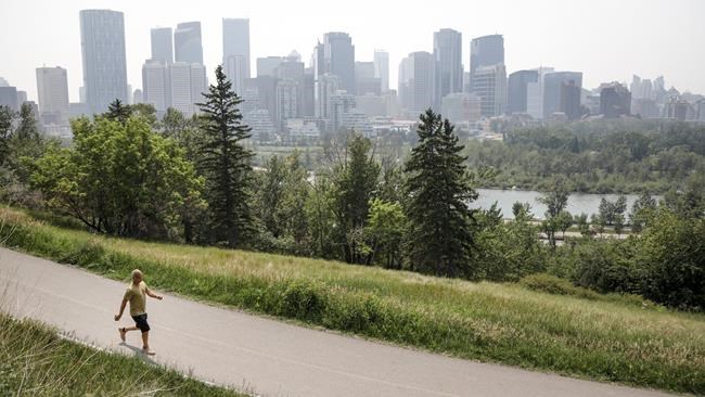 Census data suggests Alberta economy shifting but growth expected to stay strong | iNFOnews.ca Census data suggests Alberta economy shifting but growth expected to stay strong | iNFOnews.ca