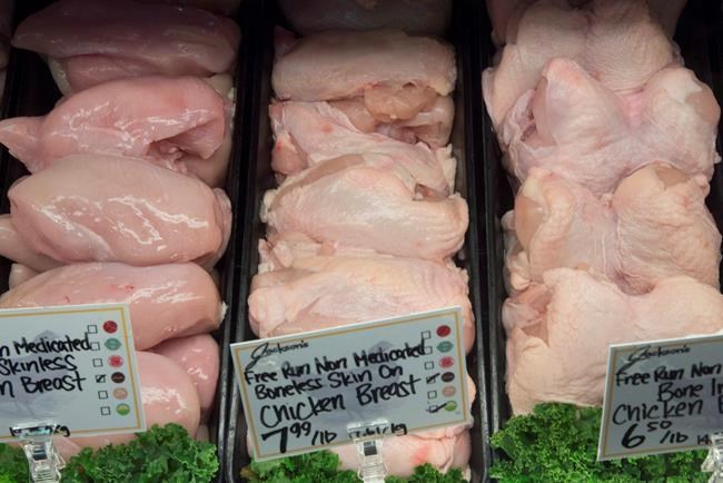 Canada faces some trade restrictions on poultry due to bird flu found in Nova Scotia | iNFOnews.ca
