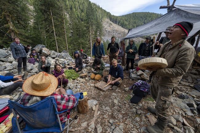 Second judge to consider stay application of old-growth logging protesters in B.C. | iNFOnews.ca