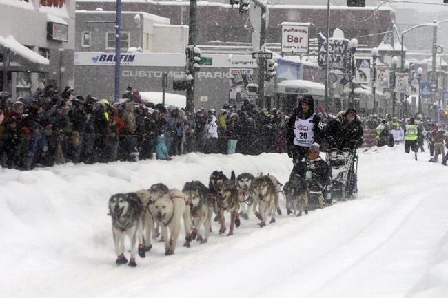 Iditarod musher Sass reaches halfway point 1st | iNFOnews.ca