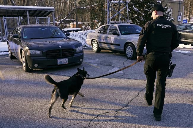 This tale wags the dog: 'Rescued by Ruby' tells K-9's story | iNFOnews.ca