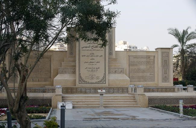 As Cairo transforms, Egyptians fight to save their trees | iNFOnews.ca As Cairo transforms, Egyptians fight to save their trees | iNFOnews.ca