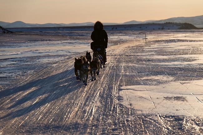 Brent Sass keeps up Iditarod lead but is wary about Seavey | iNFOnews.ca