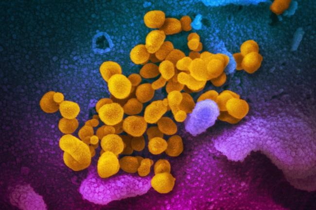 As new Omicron variant looms, White House urges Congress to restore COVID-19 funding | iNFOnews.ca As new Omicron variant looms, White House urges Congress to restore COVID-19 funding | iNFOnews.ca