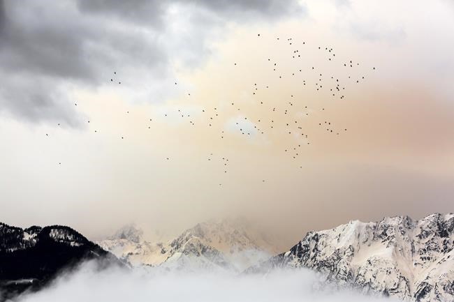 Saharan dust storm covers Spain, spreads out across Europe | iNFOnews.ca Saharan dust storm covers Spain, spreads out across Europe | iNFOnews.ca