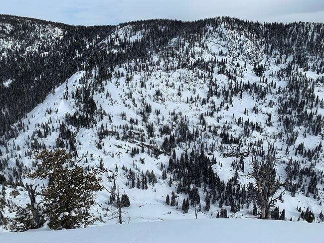 Avalanche kills backcountry skier in northwest Colorado | iNFOnews.ca