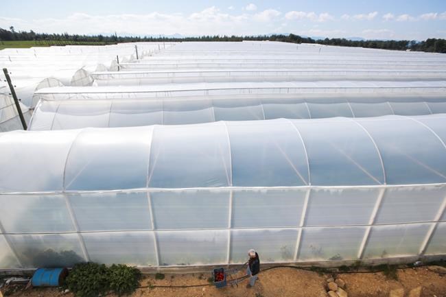 Countries brace for hit to tourism from Russia-Ukraine war | iNFOnews.ca Countries brace for hit to tourism from Russia-Ukraine war | iNFOnews.ca