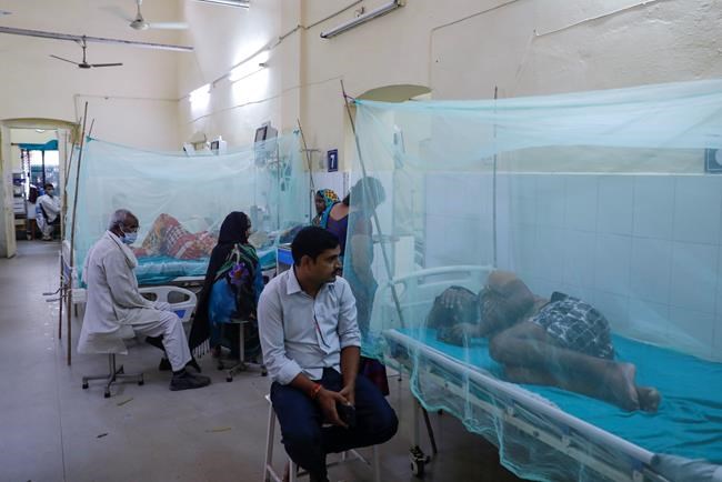 Mosquito net with new insecticide reduces malaria cases in Africa: study | iNFOnews.ca