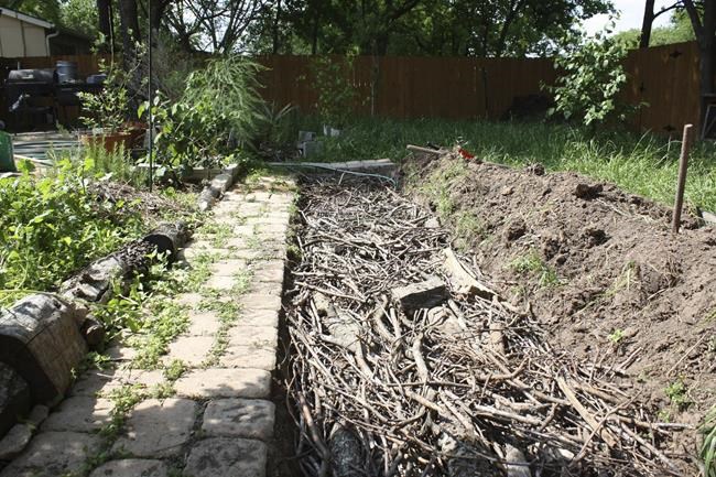 Hugelkultur: A different approach to raised beds, mounds | iNFOnews.ca CP645227804