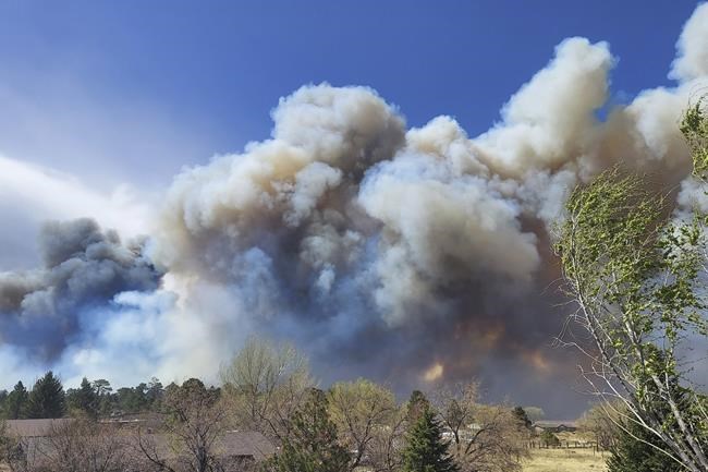 'Wall of fire' forces evacuations near Arizona tourist town | iNFOnews.ca