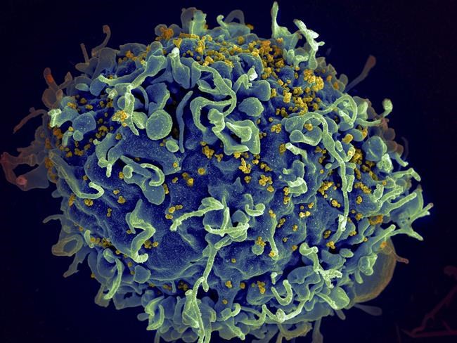 Increased infectious disease risk likely from climate change | iNFOnews.ca