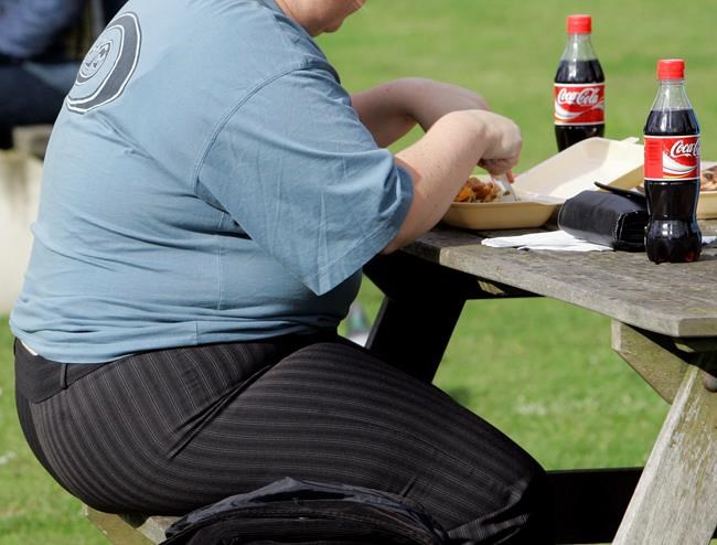 UN: Obesity levels in Europe at 'epidemic proportions' | iNFOnews.ca