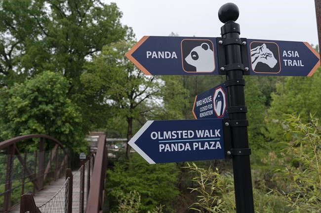 Fox chews through fence, kills 25 flamingos at National Zoo | iNFOnews.ca