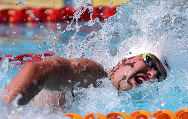 Toronto's Pan Am Sports Centre to host FINA Swimming World Cup in October | iNFOnews.ca Toronto's Pan Am Sports Centre to host FINA Swimming World Cup in October | iNFOnews.ca
